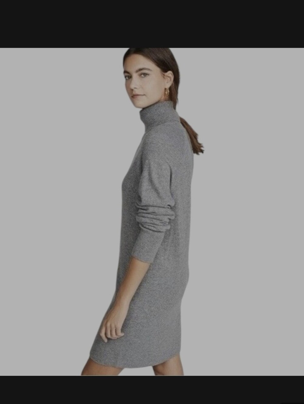 Aritzia The Group Babaton Light Gray Turtleneck Sweater Dress EUC